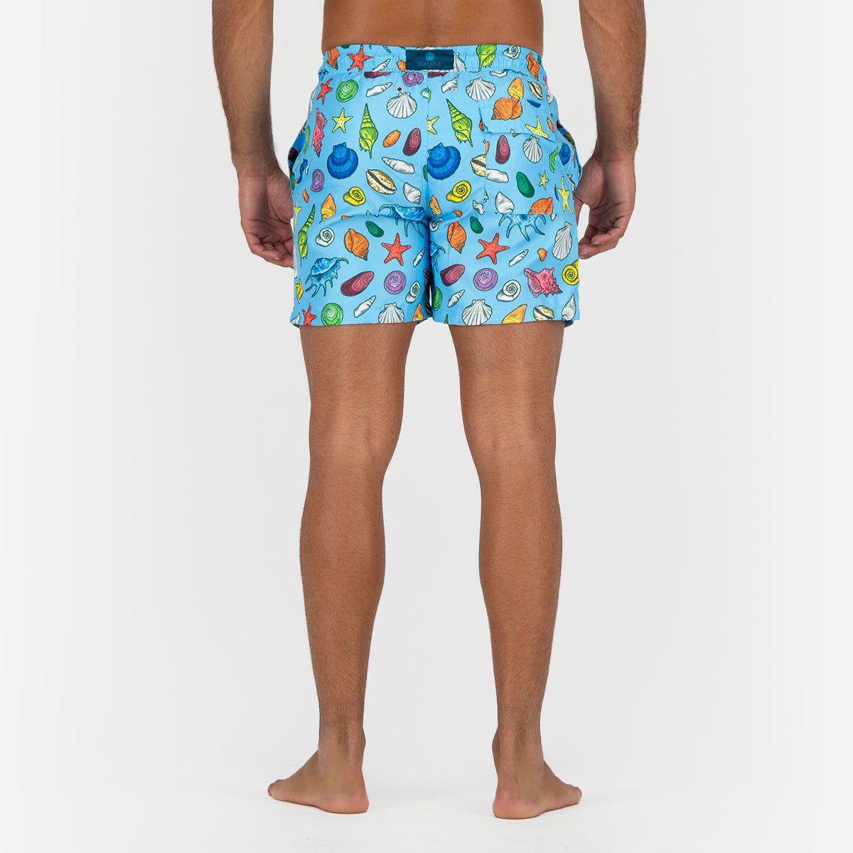 Seashell Shells Swimming Short - Blue