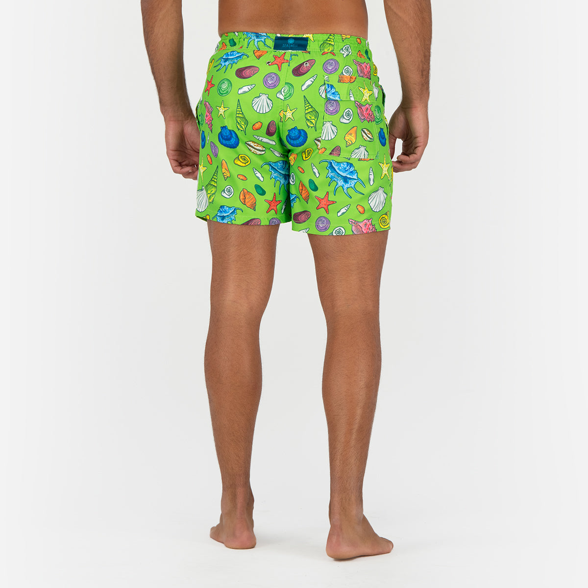 Seashell Shells Swimming Short - Green